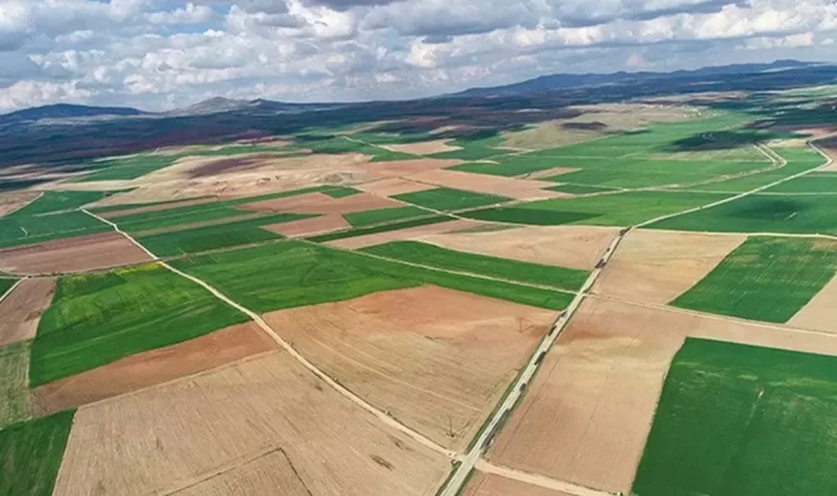 Kaçırılmayacak KDV’den muaf arsa satışları