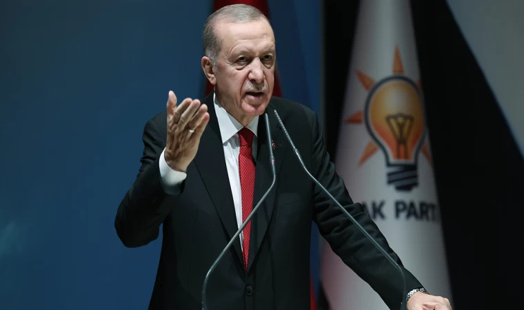 Erdoğan'dan 'Seçil Erzan' sorusuna yanıt: