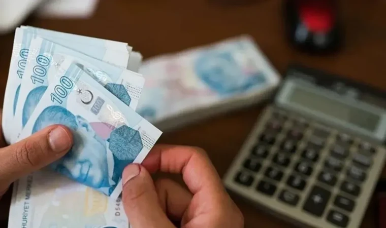 Kamuda tasarruf alanında alınan kararlar