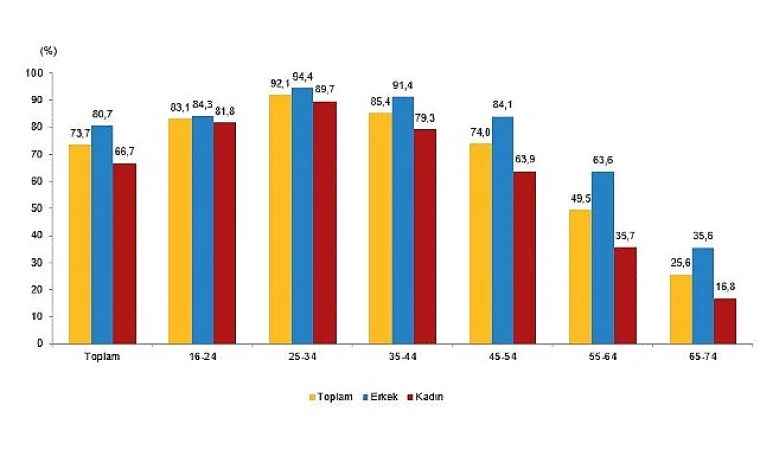 İnternet kullanan bireylerin oranı %88,8 oldu