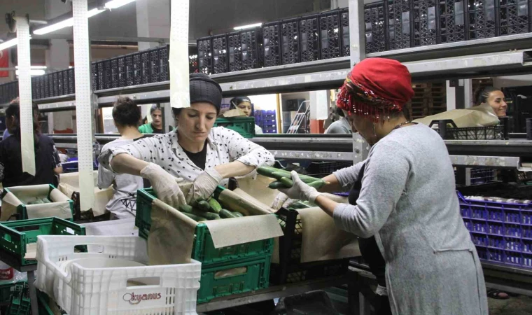 Batı Akdeniz’den 8 ayda 1 milyar 765 milyon dolar ihracat