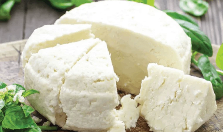 Erzincan tulum peyniri coğrafi işaret tescili aldı