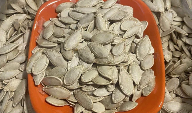 Kabak çekirdeğine "Salmonella", zencefile "Bacillus cereus" nasıl bulaşıyor