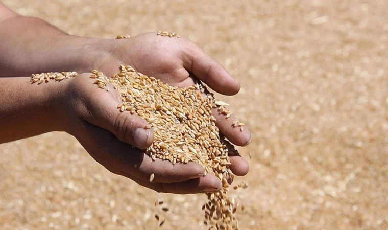 Hububat alım fiyatları açıklandı