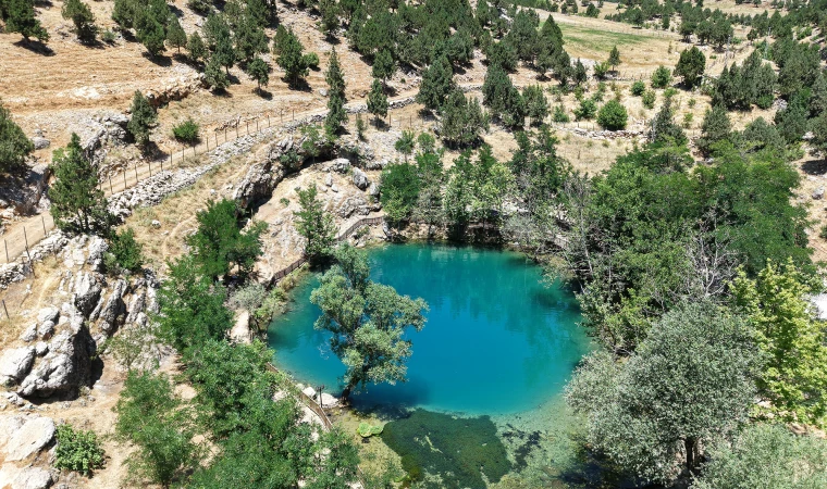 Yeşilgöz’ün Değeri Katlanıyor