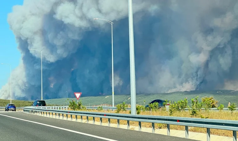 Tekirdağ’daki orman yangını tarım arazilerine sıçradı