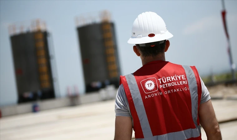 En yüksek ödenek 332,6 milyar lirayla TPAO'ya verildi