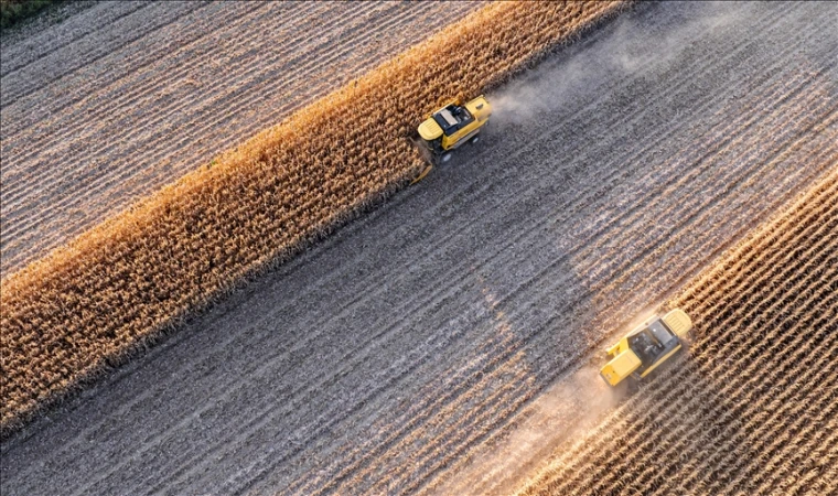 Tarımsal girdi fiyat endeksi arttı 