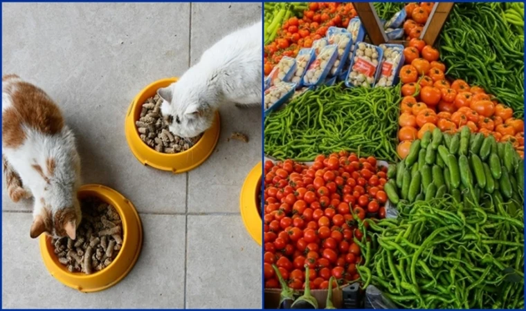 Kasımda en çok artan ve düşenler belli oldu