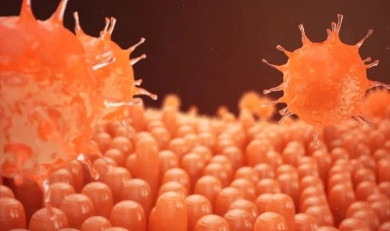 Hepatit sinsi ilerleyebiliyor!