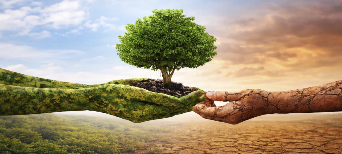 İklim riskleri şehirleri ve sanayiyi ‘uyum’ stratejilerine yönlendiriyor