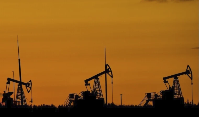 BAE: OPEC ve OPEC+'ten ayrılma kararı