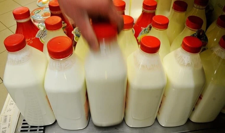 Ayran, kefir ve yoğurt üretiminde rekor