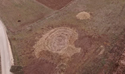 Çiftçilerin ürettiği tonlarca şeker pancarı tarlada kaldı