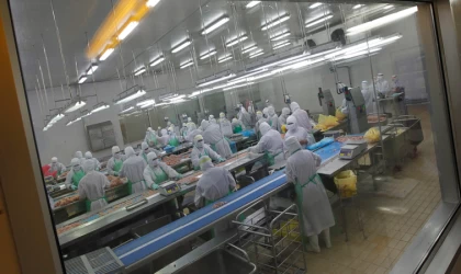 Kuş gribi nedeniyle 72 bin kümes hayvanı itlaf edilecek