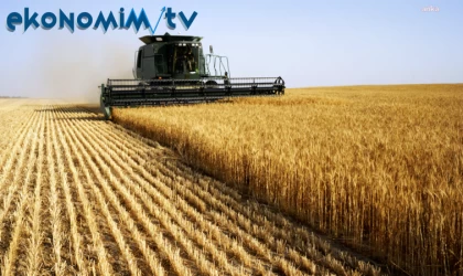 Tarım ürünleri üretici fiyat endeksi azaldı