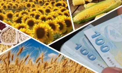 Tarımsal destek ödemeleri arttırıldı