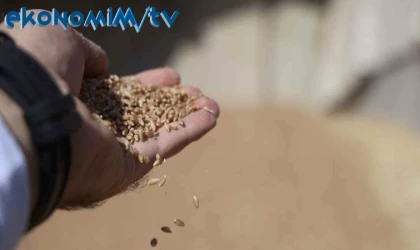 Uzmanlardan, sertifikalı tohum uyarısı