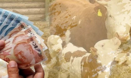 Tarımsal destekler bugün hesaplarda