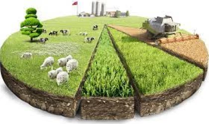 DAP’ta hedef hayvancılığı geliştirme ve destekleme