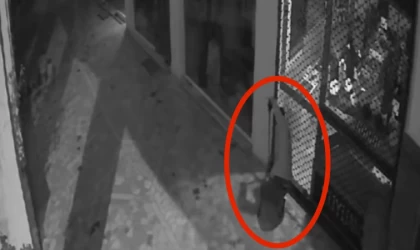 Elleriyle koymuş gibi altınları buldular