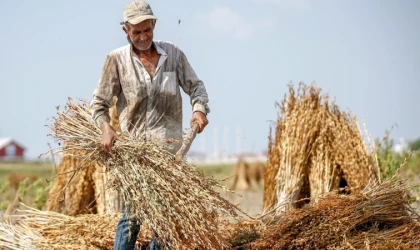 Adanalı çiftçiler planlı üretime geçti