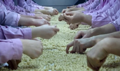 Düzce’den 2 bin 294 ton fındık ihraç edildi