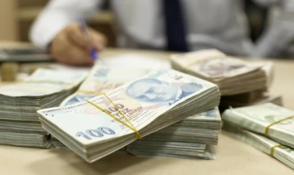Tasarruf sahipliği yeniden yükselerek yüzde 23.3 oranına ulaştı