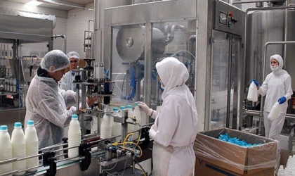 Ticari süt işletmeleri Ocak ayında 915 bin ton süt topladı