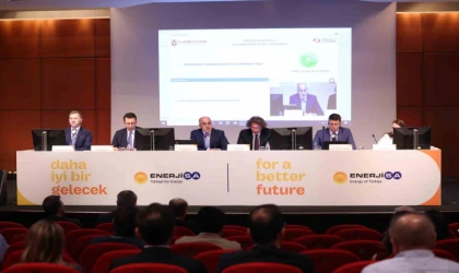 Enerjisa Enerji, finansal ve operasyonel sonuçlarını açıkladı