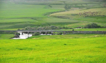 Yem bitkileri destekleme süreci başladı