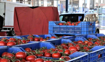 Domates miktarı yıllık endekste arttı