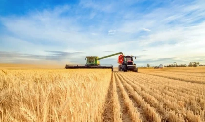 Tarım-GFE yıllık yüzde 49,93 arttı