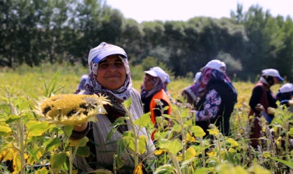 Çiftçiler verim alamıyor!