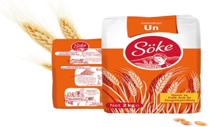Bb_Söke, İso İkinci 500’de Yerini Korudu