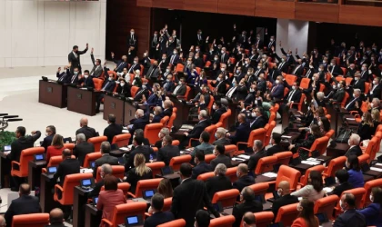 Sahipsiz sokak hayvanlarına ilişkin kanun teklifi kabul edildi
