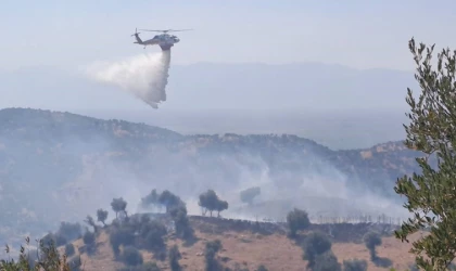 Söke’deki yangınlarda 41 milyon 250 bin TL zarar