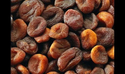 Kuru kayısı 399 milyon dolarlık ihracatla kapattı