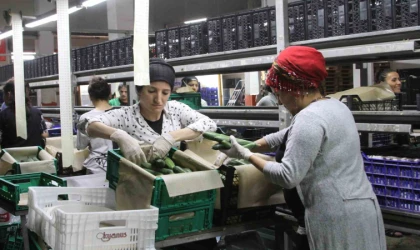 Batı Akdeniz’den 8 ayda 1 milyar 765 milyon dolar ihracat