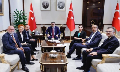 Cumhurbaşkanlığı’na Otizm Raporu sunuldu