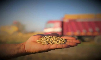 Tohum üretimine Konya Ovası’ndan 380 bin tonluk katkı