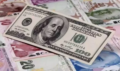 Net UYP açığı 294,7 milyar dolar oldu