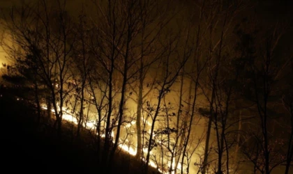 Güney Kore'deki orman yangınlarında ölü sayısı 28'e yükseldi