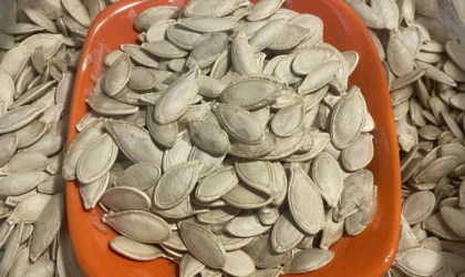Kabak çekirdeğine "Salmonella", zencefile "Bacillus cereus" nasıl bulaşıyor