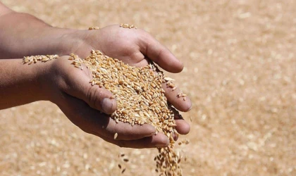 Hububat alım fiyatları açıklandı