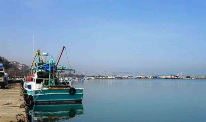 65 bin ton balık üretimi planlanıyor