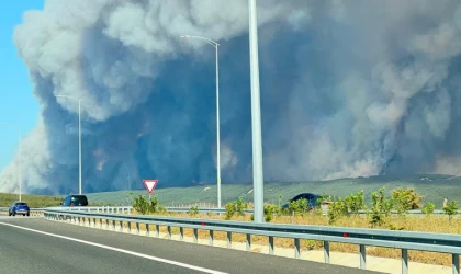 Tekirdağ’daki orman yangını tarım arazilerine sıçradı