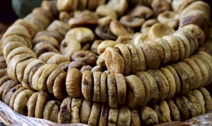 Kuru incir ihracatı 369 milyon dolara ulaştı