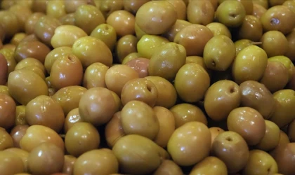 Sofralık zeytin ihracatında rekor kırıldı