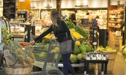 Kişi başına GSYH endeksi 2024 için 72 oldu